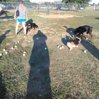 Norman Community Dog Park at Griffin Park photo 2